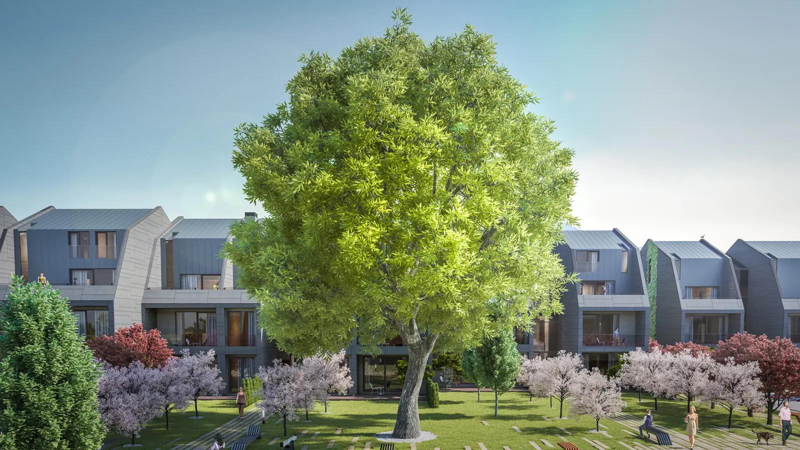 Tepe Aura – 3