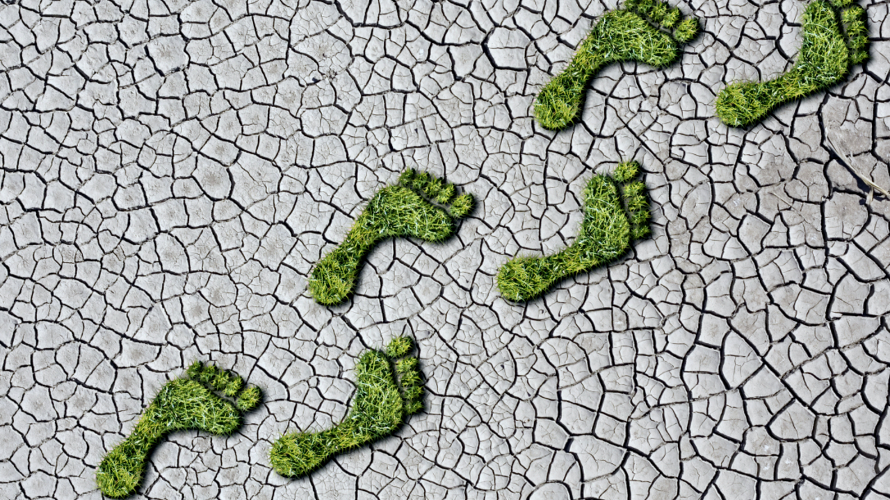 Corporate Carbon Footprint Measurement and Reporting Altensis